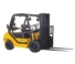 OM DVX 309 FC