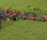 барабанні сіноворушилки Massey Ferguson TD1028X TRC