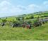 Fendt Twister 601 DN