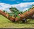 Дисково-цинкова борона Amazone Certos 7001-2TX