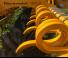 Дисково-цинкова борона Agrisem Disc-O-Mulch Gold 4.00 
