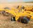 Agrisem Disc-O-Mulch Gold 4.50 