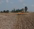 Дисково-цинкова борона Agrisem Maximulch 6.00 Serie 3