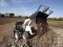 Екскаватор-навантажувач Terex TLB 890
