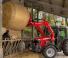 Massey Ferguson FL 3415X