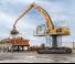 Екскаватори для перевалки Liebherr LH 50 C High Rise Port Litronic