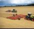 Гусеничні трактори Claas Xerion 4500 Trac TS