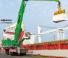 Екскаватори для перевалки Sennebogen 875M E Hybrid  