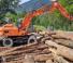 Fiat Kobelco EX 95 WM