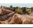 Колісні навантажувачі Caterpillar 938M