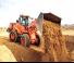 Колісні навантажувачі Doosan DL250-5