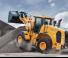 Колісні навантажувачі Hyundai HL955