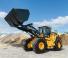 Колісні навантажувачі Hyundai HL975