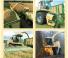 Krone BiG X 800