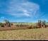 Amazone Cenius 7003-2 TX Special