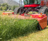 Передній косильний диск з кондиціонером Massey Ferguson 9313 S