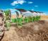 Плуги Amazone Cayron 200
