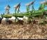Плуги Amazone Cayros XMS 4-850 V