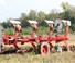 Плуги Unia Ibis L H 4+