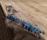 Плуги Lemken Titan 18 V U 8+3+1 / 100