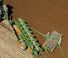 Плуги Amazone Tyrok 400