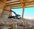 Телескопічні навантажувачі Manitou MLT 630-115 V Premium