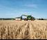 Телескопічні навантажувачі Claas Scorpion 732 