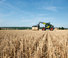 Телескопічні навантажувачі Claas Scorpion 736 