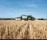 Телескопічні навантажувачі Claas Scorpion 741 