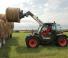 Телескопічні навантажувачі Bobcat TL30.60 AGRI Low Cab 100 IV