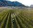 Трактори 4WD DEUTZ-FAHR 5105 DF TTV