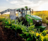 Трактори 4WD John Deere 5105EN