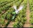 Трактори 4WD John Deere 5105GN