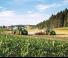 Трактори 4WD John Deere 6215R
