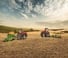 Трактори 4WD Case IH ASF Connect Magnum 310