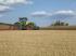 Трактори 4WD Claas Axion 930