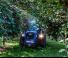 Трактори 4WD BCS Eagle 85 SDT