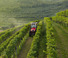 Трактори 4WD Valtra F75S