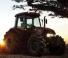 Case IH Farmall 100