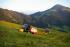 Трактори 4WD Lindner Geotrac 84
