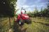 Трактори 4WD McCormick GM 40
