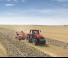 Трактори 4WD Case IH Magnum 380 CVX Basis
