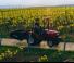 Трактори 4WD Massey Ferguson MF 1520 