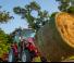 Трактори 4WD Massey Ferguson MF 1735 M HP 