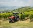 Трактори 4WD Massey Ferguson MF 3VI.75 