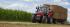 Трактори 4WD Massey Ferguson MF 6616 Dyna 6