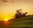 Трактори 4WD Massey Ferguson MF 8S.265 