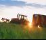 Трактори 4WD Massey Ferguson MF 8S.305 