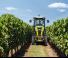 Трактори 4WD Claas Nexos 230 VE