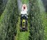 Трактори 4WD Claas Nexos 230 VL